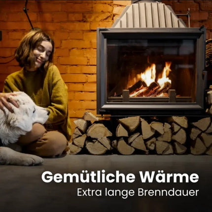 Kaminholz Laubholzmix kammergetrocknet | 1 RM