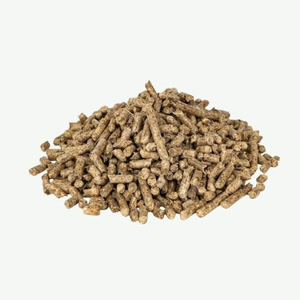 Purus+ Holzpellets – 60 × 15 kg Palette (900 kg) – 100 % Nadelholz, ENplus A1
